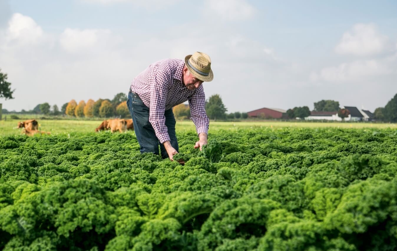 Georg Funken auf einem Feld in Kempen